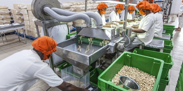 Transformation Agricole